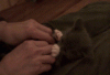 tumblr_ktuv0ynNbt1qa0khao1_400.gif