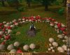 mushrooms.jpg