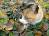 DSCF6941.JPG