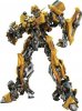 tr.jpg