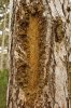 IMG_4334.CR2_1.jpg
