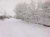17032010098.jpg