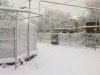 17032010099.jpg