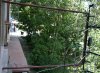 IMG_0464.jpg