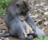 1283612466__animals_15.jpg