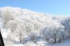 IMG_7084.jpg
