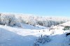 IMG_7089.jpg