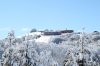 IMG_7095.jpg