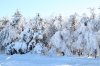IMG_7238.jpg