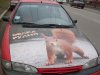 SDC13667.JPG