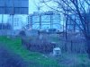 DSC02139.JPG