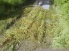 DSC00924.JPG