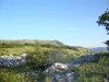 DSC09698.JPG