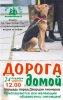 doroga_domoy.jpg