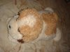 DSC04674.JPG