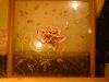 DSC00548.JPG