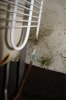 DSC03209.JPG