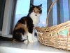 DSC09322.JPG