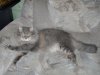 000_027.jpg