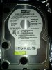 ____0062.jpg