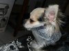 ____________093.jpg
