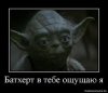images11.jpeg