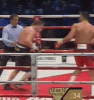 povetkin.gif