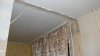 DSC03201.JPG