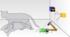 220px_Schrodingers_cat.svg.png