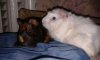 2013_11_06_22.12.27.jpg