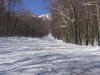 IMG_2697_1.jpg