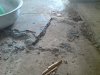 DSC01244.JPG
