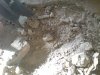 DSC01245.JPG