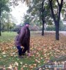 3085051.jpg