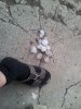 20140523_150700.jpg