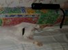 04.JPG