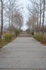 DSC_0509.JPG