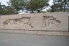 DSC_0529.JPG