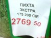 DSC06396.JPG