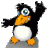 Virus